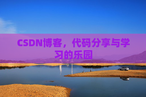 CSDN博客，代码分享与学习的乐园